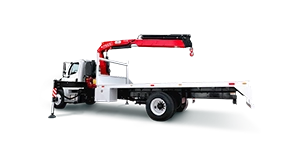 Grúa Articulada sobre Camión Fassi F215