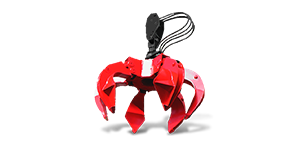 Poligrapa Rozzi RP 300