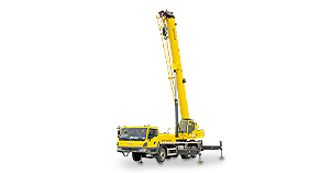 Grúa hidraulica TMC250